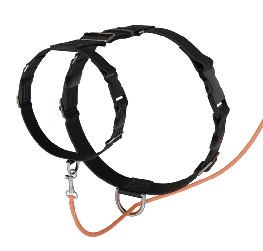 3d view of the S-K9 ChestCollar with the lead attached